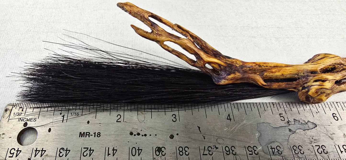 Black Horsehair Brush with Cholla Cactus Handle Elizabeth Schowachert Art