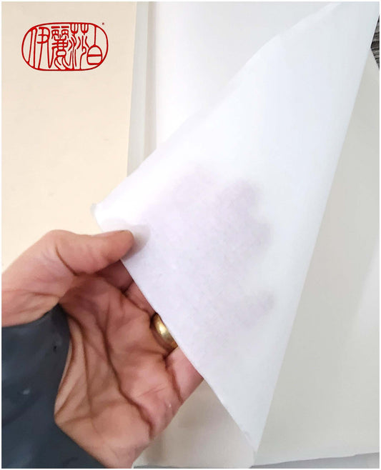 Chinese Raw Half Ripe Xuan Paper 100 Sheet Count Art Supplies Elizabeth Schowachert Art