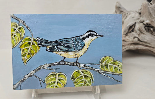 4" x 6" Original Nuthatch Painting on Cradled Wood Panel – Acrylic Fine Art Elizabeth Schowachert