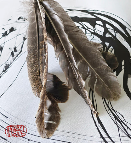 Artisan Feather Brushes – A Unique Creative Tool Elizabeth Schowachert Art