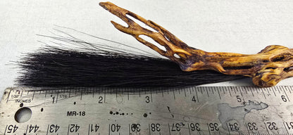 Black Horsehair Brush with Cholla Cactus Handle Elizabeth Schowachert Art