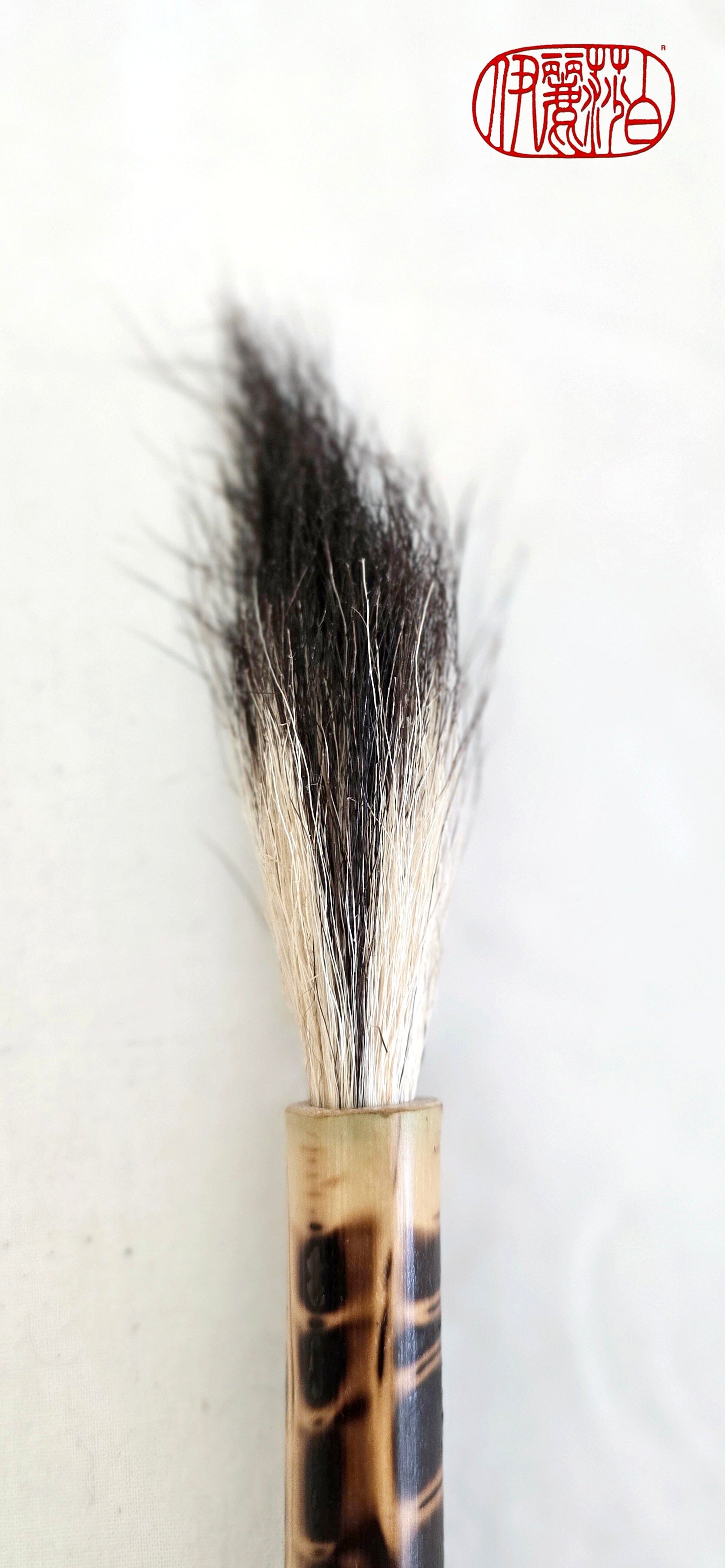 Dynamic Mark-Making Natural Skunk Bristle Paint Brushes Paintbrush Elizabeth Schowachert Art