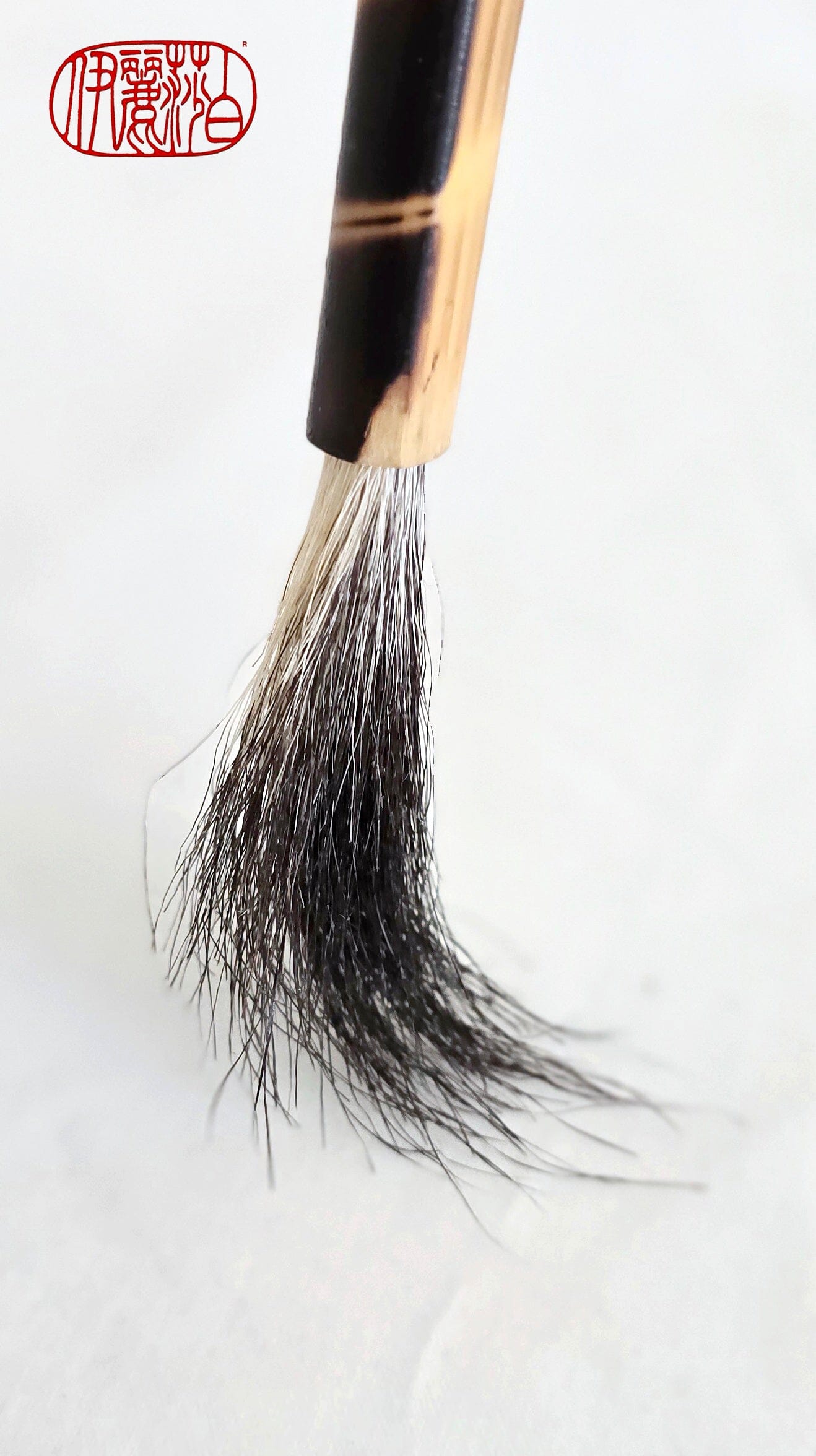 Dynamic Mark-Making Natural Skunk Bristle Paint Brushes Paintbrush Elizabeth Schowachert Art