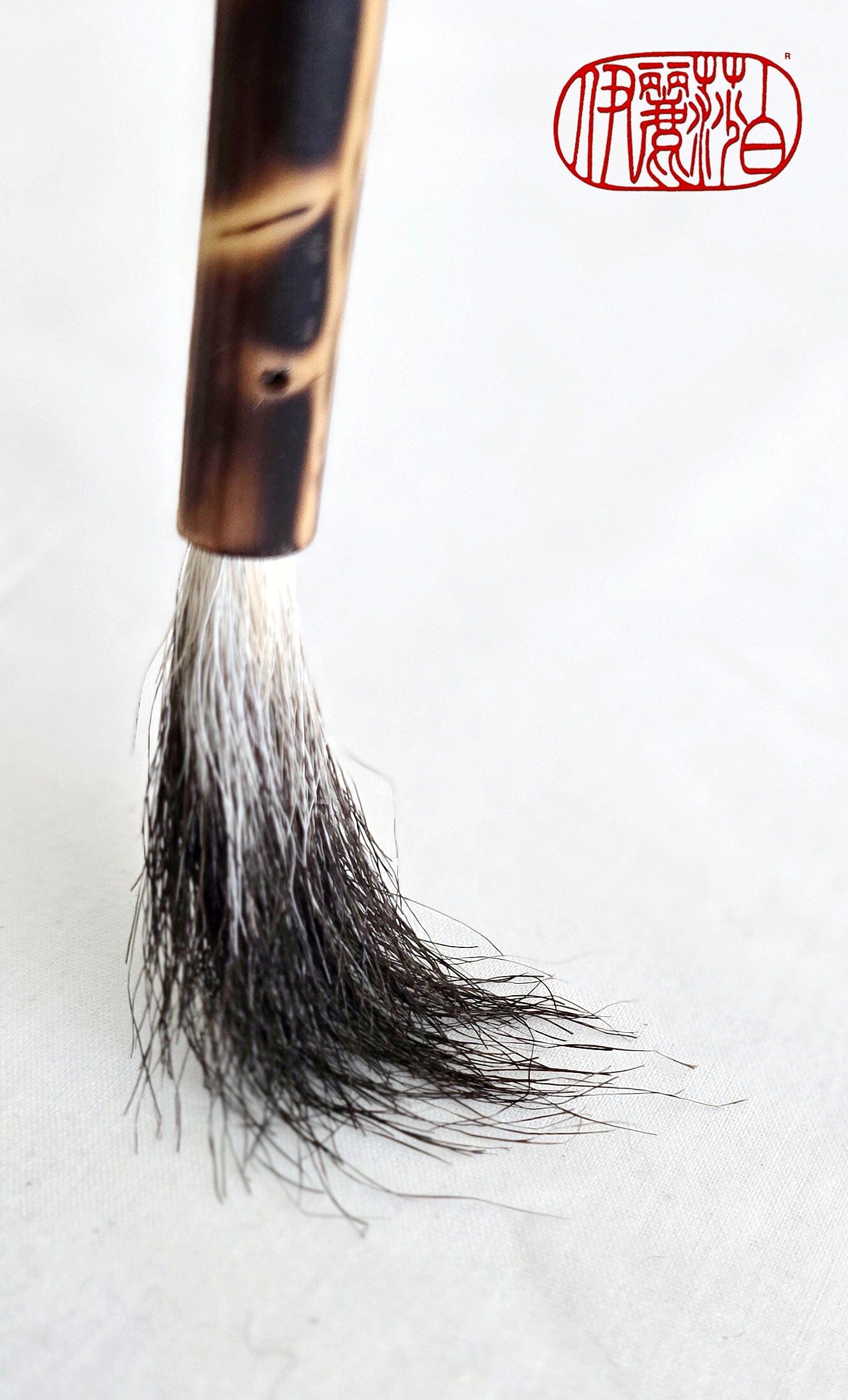 Dynamic Mark-Making Natural Skunk Bristle Paint Brushes Paintbrush Elizabeth Schowachert Art