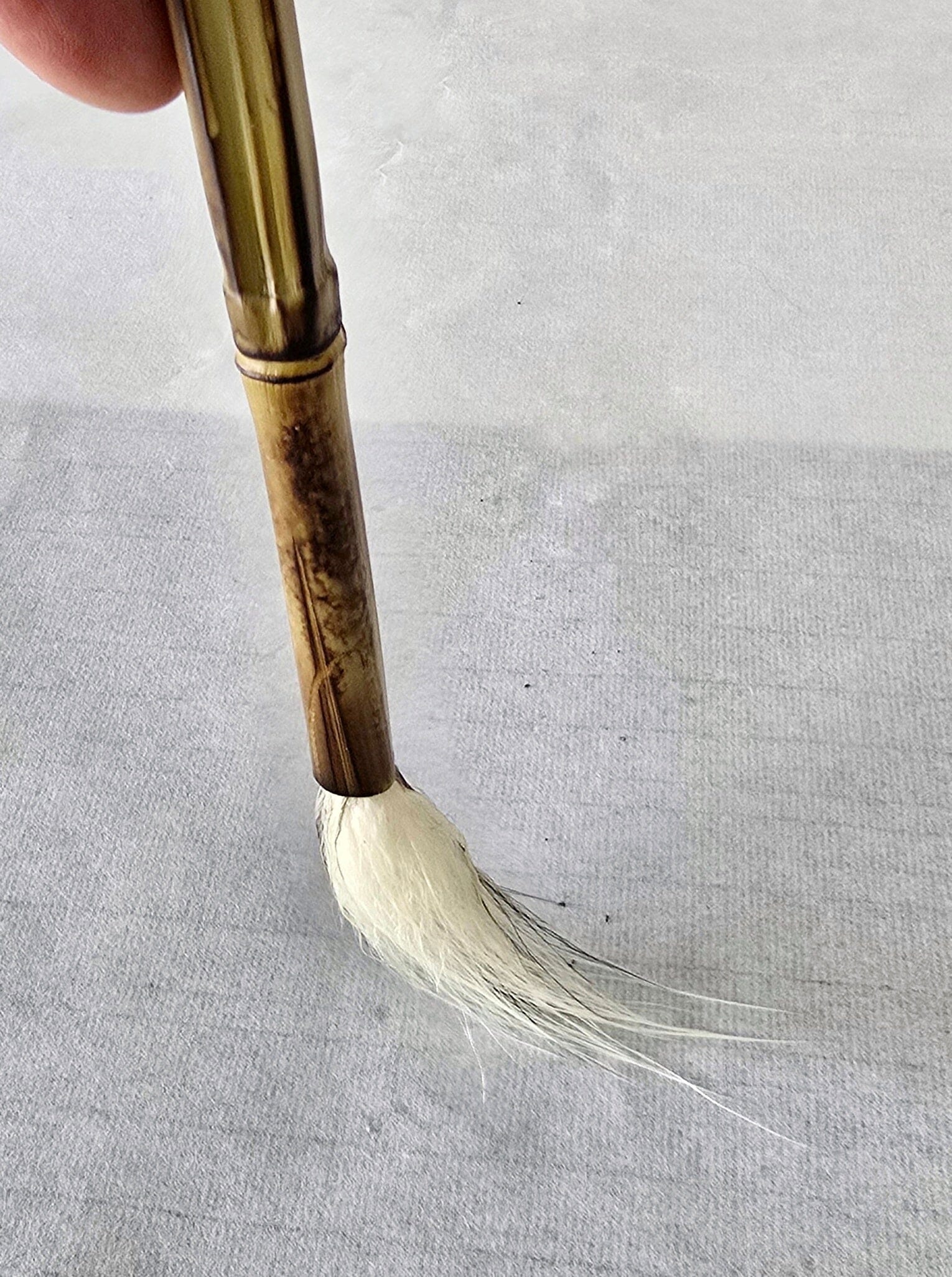 Handcrafted Deer Tail Sumi-e Brush with Soft Bristles and Light Spring Sumi-e Paint Brush Elizabeth Schowachert Art