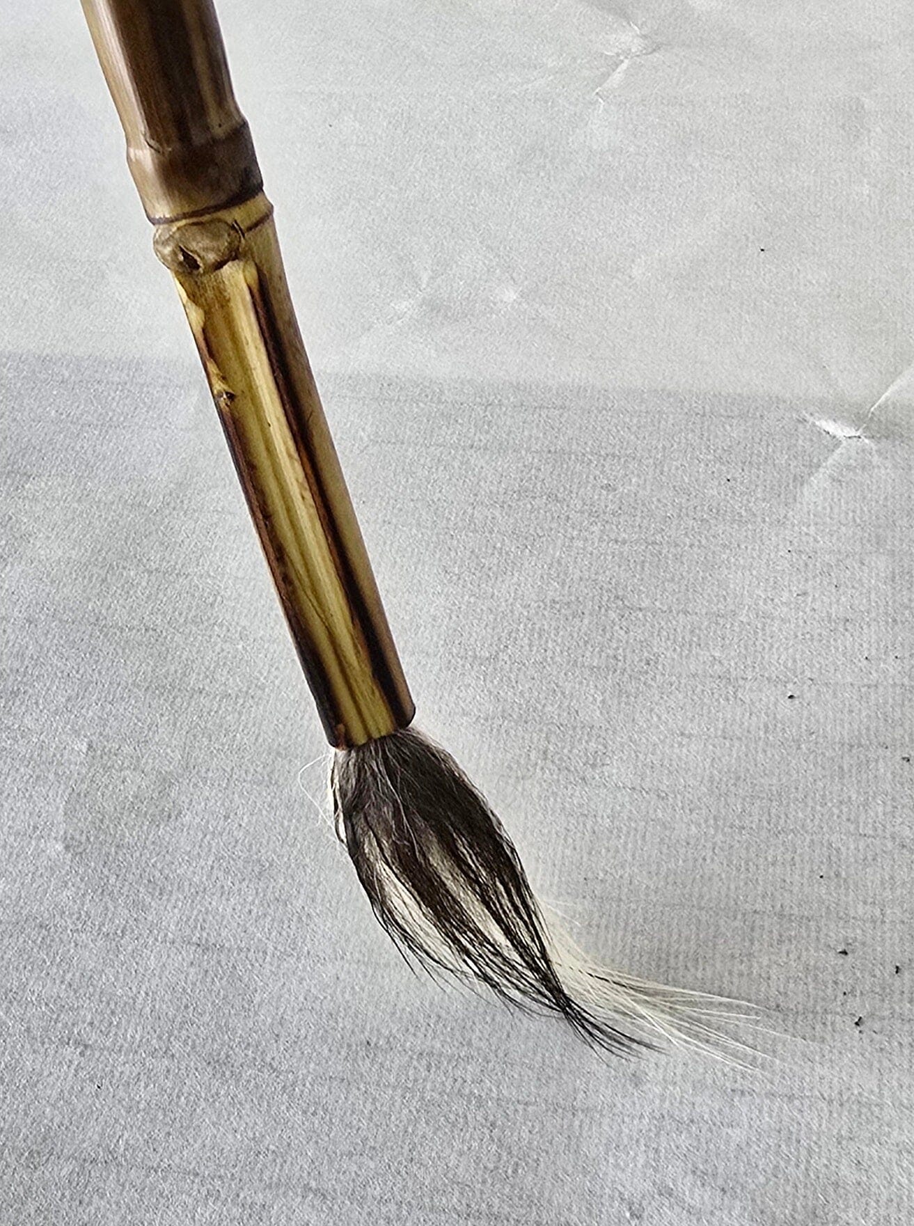 Handcrafted Deer Tail Sumi-e Brush with Soft Bristles and Light Spring Sumi-e Paint Brush Elizabeth Schowachert Art