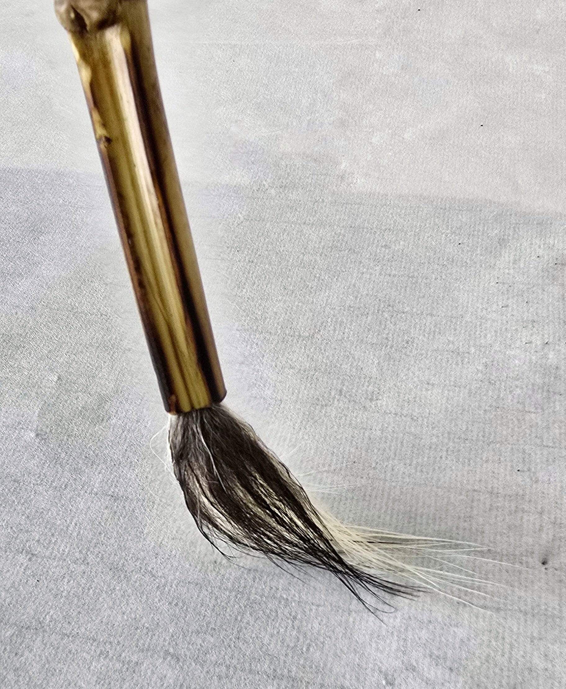 Handcrafted Deer Tail Sumi-e Brush with Soft Bristles and Light Spring Sumi-e Paint Brush Elizabeth Schowachert Art