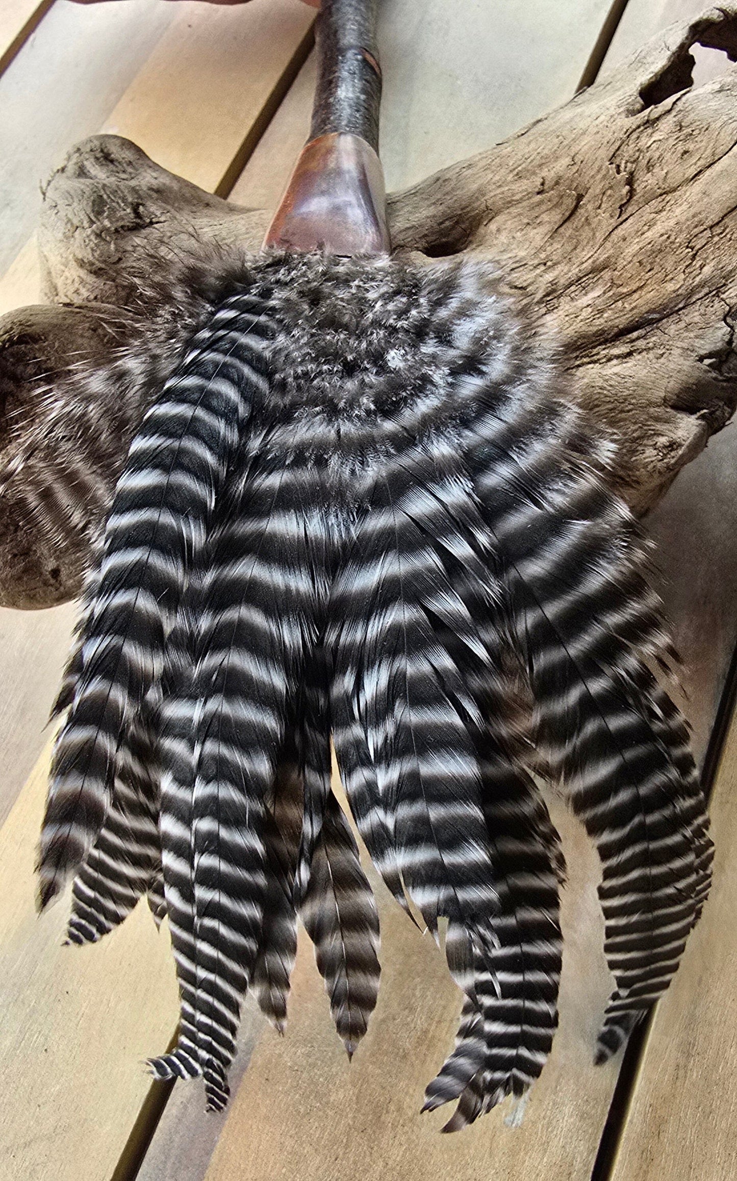 Handcrafted Feather Brushes for Fluid Media – Sold Individually Paintbrushes Elizabeth Schowachert Art