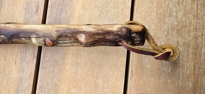 Handcrafted Feather Brushes for Fluid Media – Sold Individually Paintbrushes Elizabeth Schowachert Art