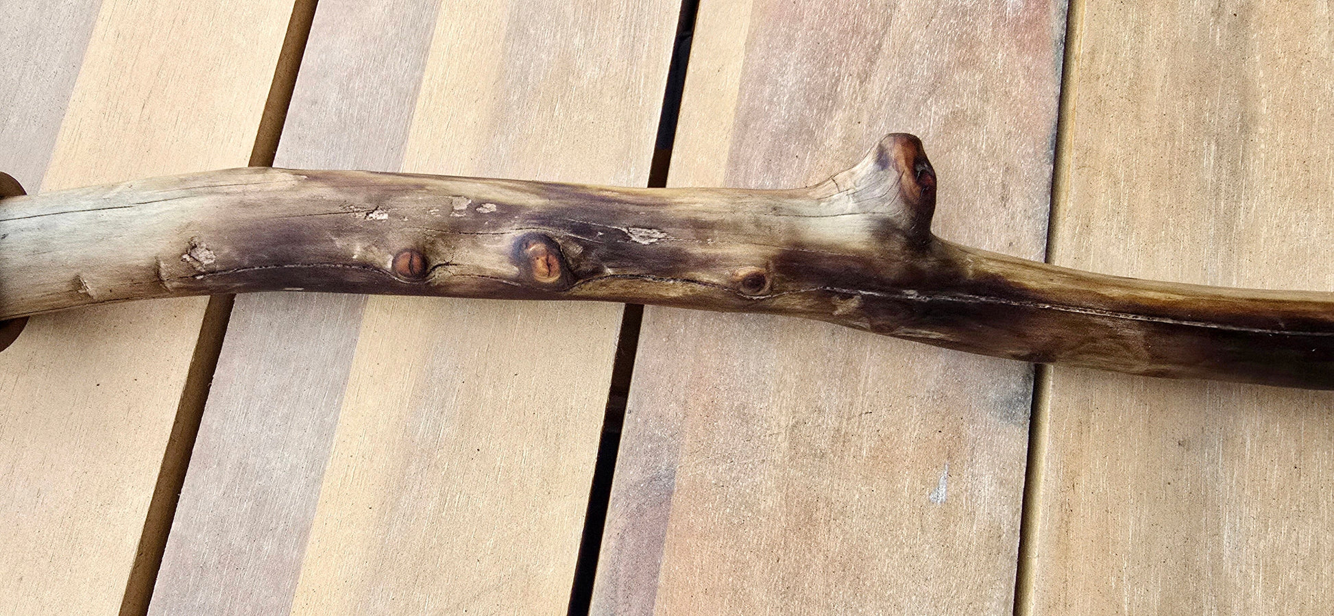 Handcrafted Feather Brushes for Fluid Media – Sold Individually Paintbrushes Elizabeth Schowachert Art