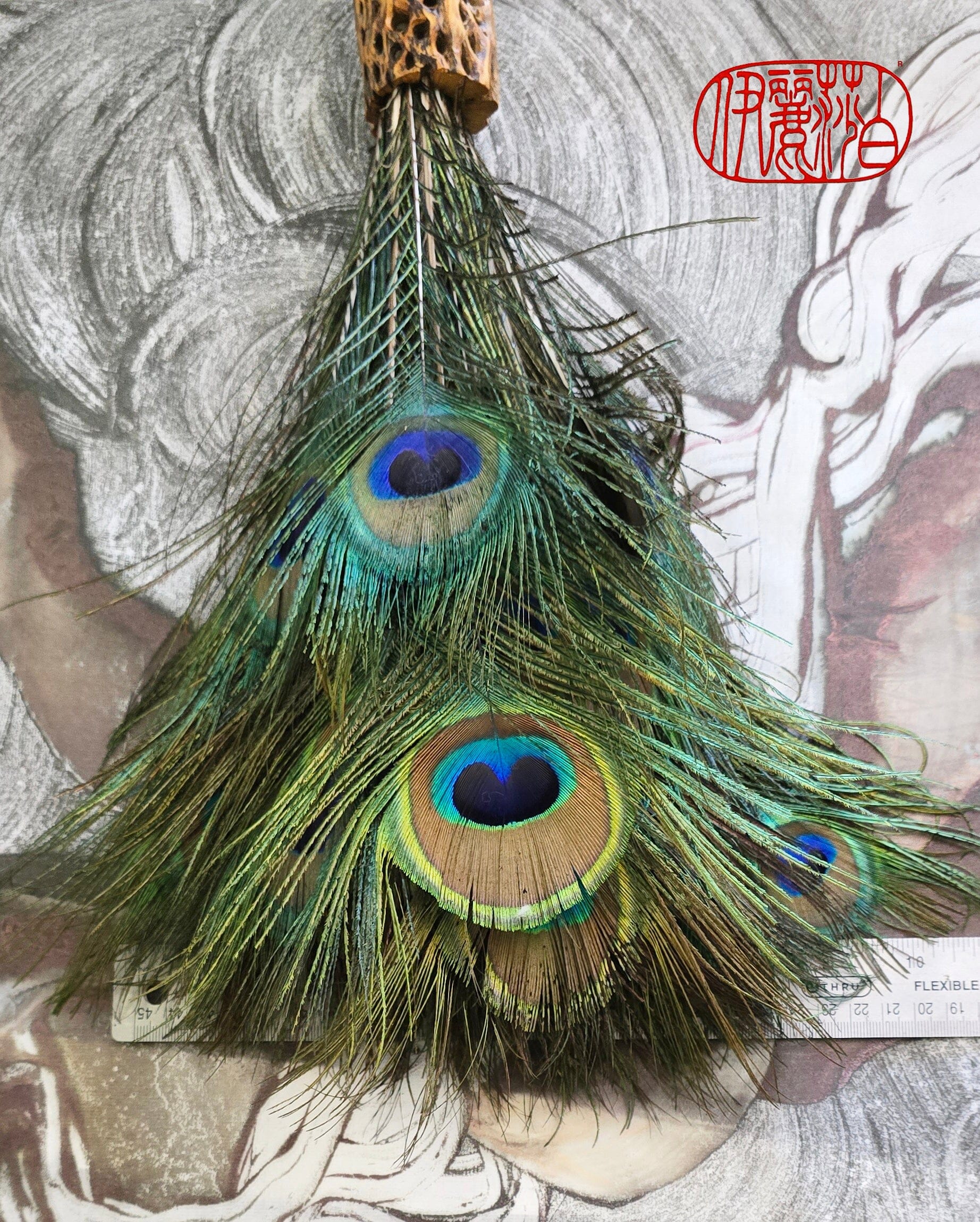 Peacock Feather Painter's Brush with Cholla Cactus Ferrule Driftwood Handle Painter's Brush Elizabeth Schowachert Art