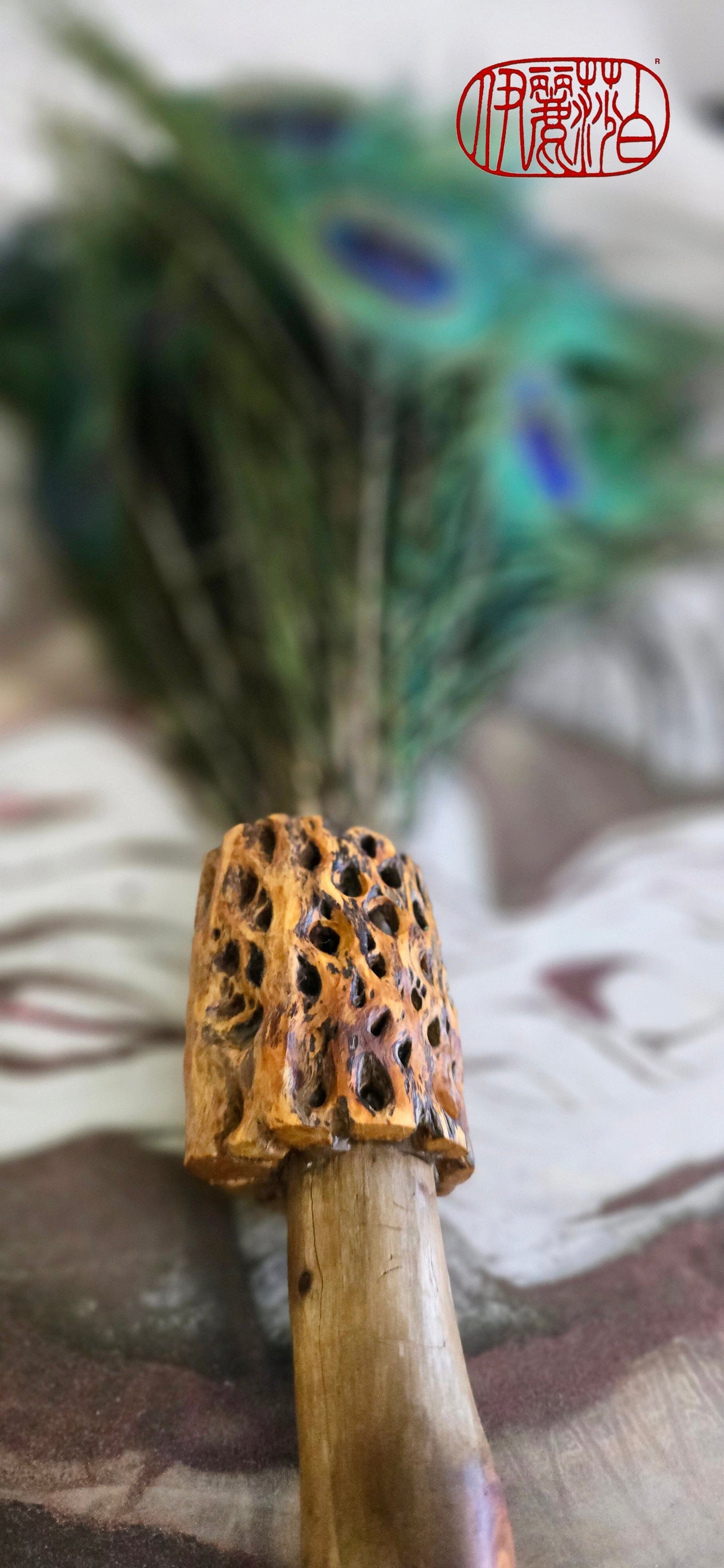 Peacock Feather Painter's Brush with Cholla Cactus Ferrule Driftwood Handle Painter's Brush Elizabeth Schowachert Art