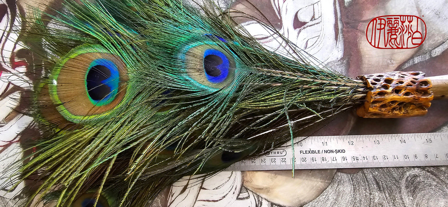 Peacock Feather Painter's Brush with Cholla Cactus Ferrule Driftwood Handle Painter's Brush Elizabeth Schowachert Art