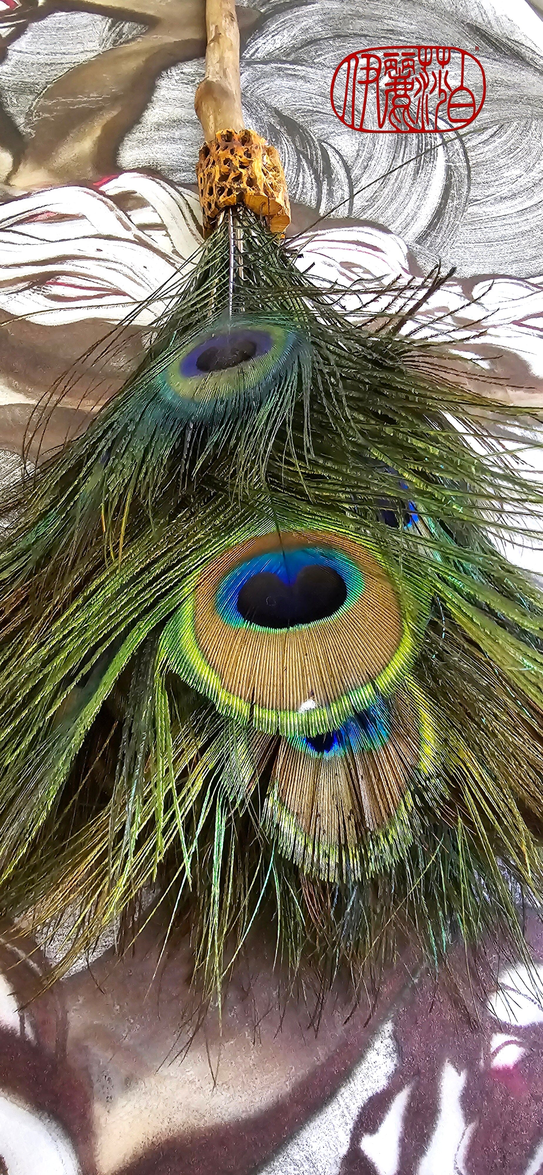 Peacock Feather Painter's Brush with Cholla Cactus Ferrule Driftwood Handle Painter's Brush Elizabeth Schowachert Art