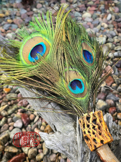 Peacock Feather Painter's Brush with Driftwood Handle Painter's Brush Elizabeth Schowachert Art