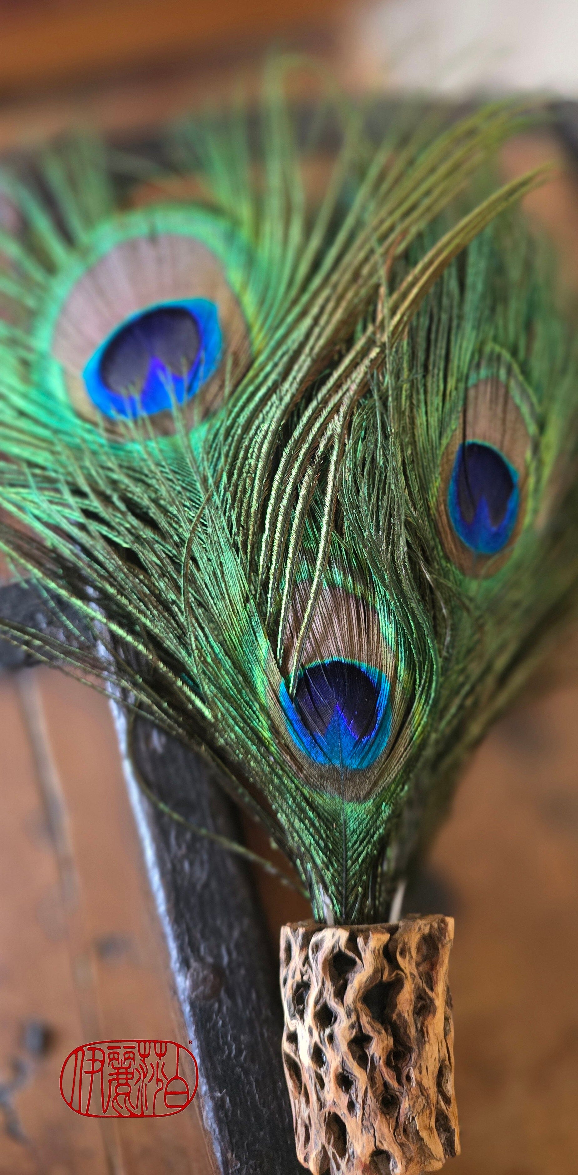 Peacock Feather Painter's Brush with Driftwood Handle Painter's Brush Elizabeth Schowachert Art