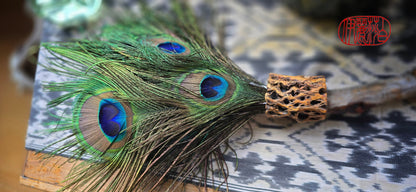 Peacock Feather Painter's Brush with Driftwood Handle Painter's Brush Elizabeth Schowachert Art