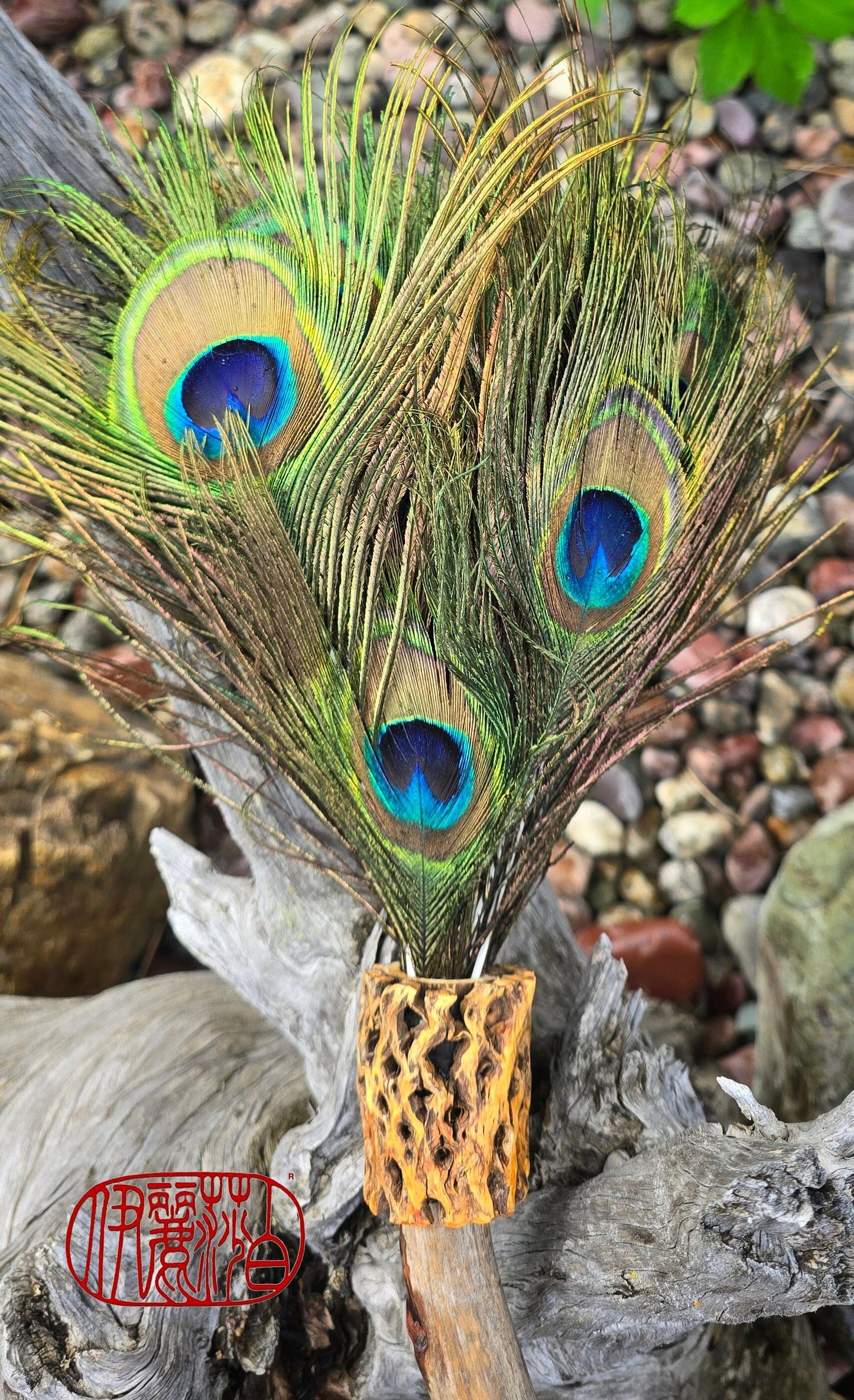 Peacock Feather Painter's Brush with Driftwood Handle Painter's Brush Elizabeth Schowachert Art