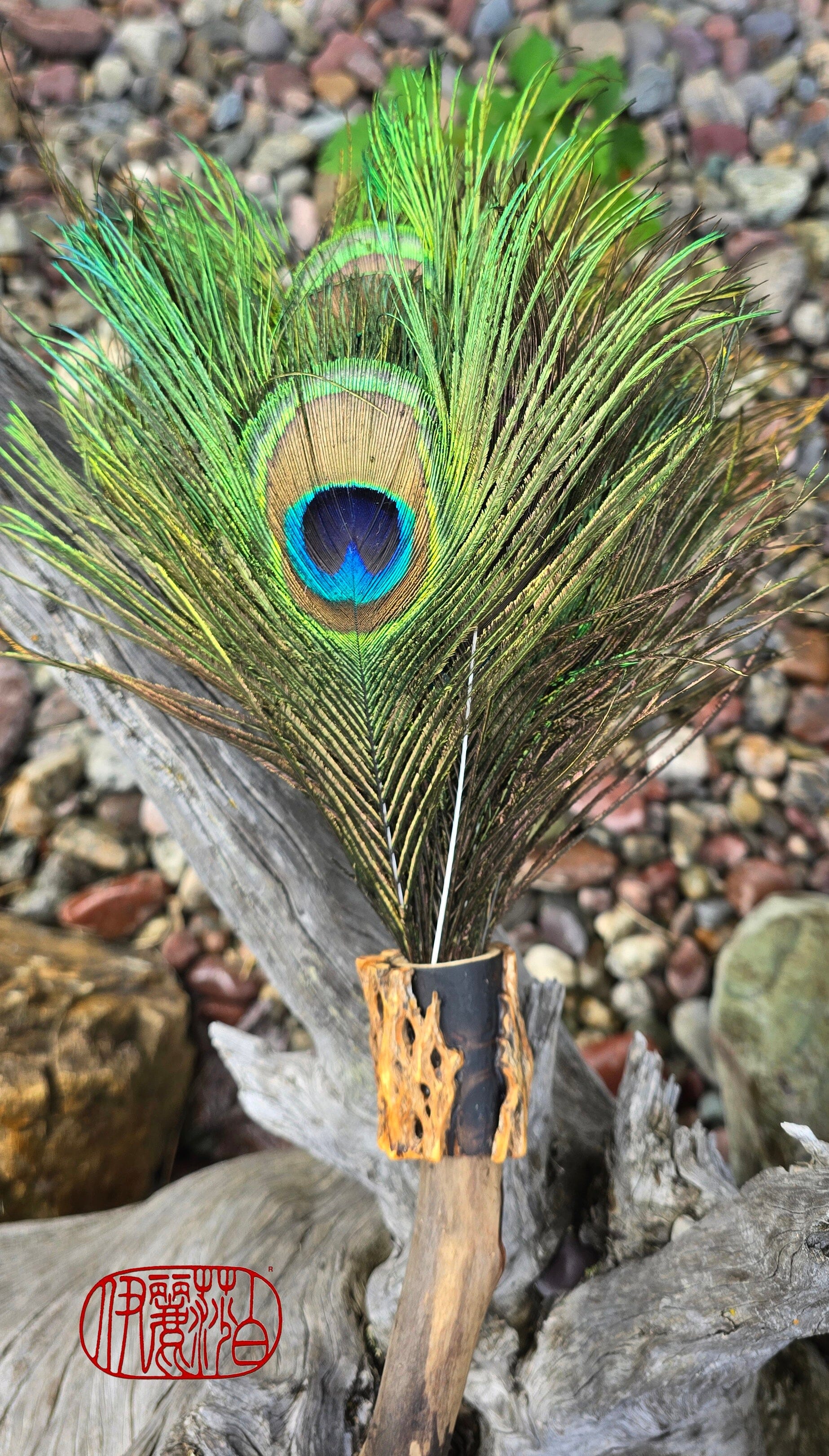 Peacock Feather Painter's Brush with Driftwood Handle Painter's Brush Elizabeth Schowachert Art