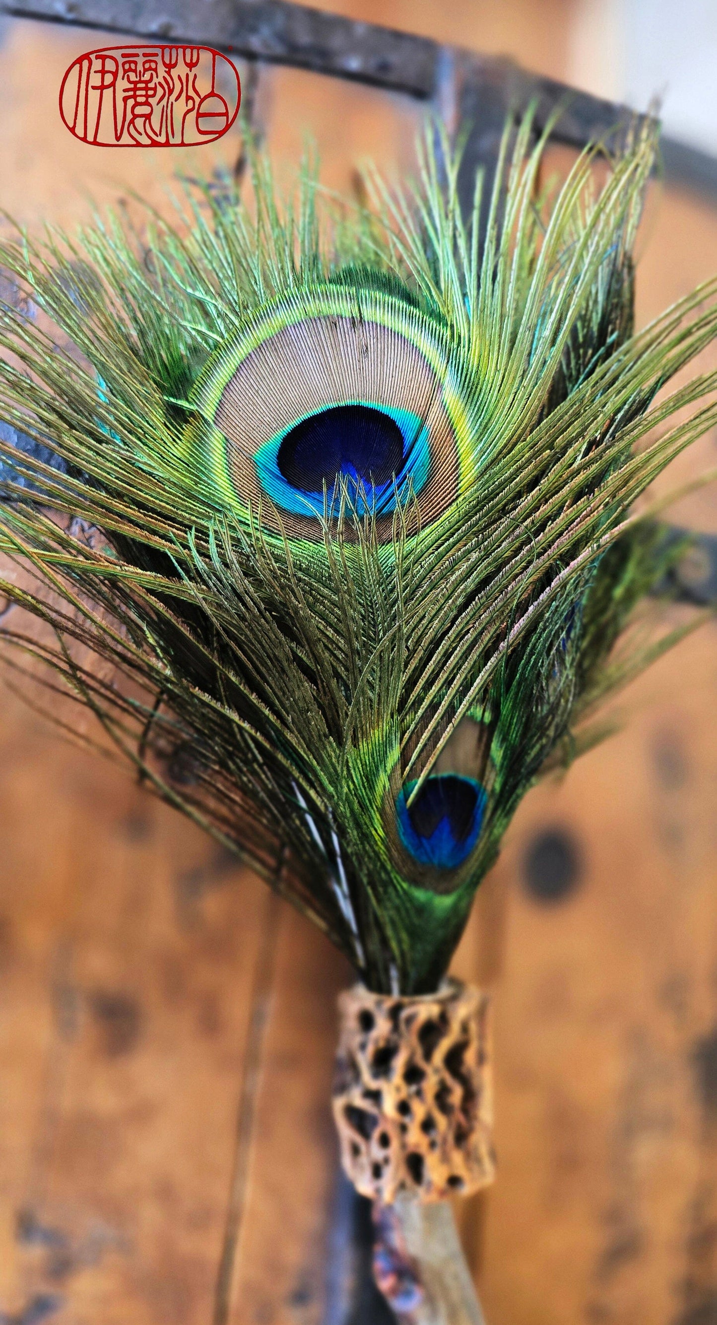 Peacock Feather Painter's Brush with Driftwood Handle Painter's Brush Elizabeth Schowachert Art