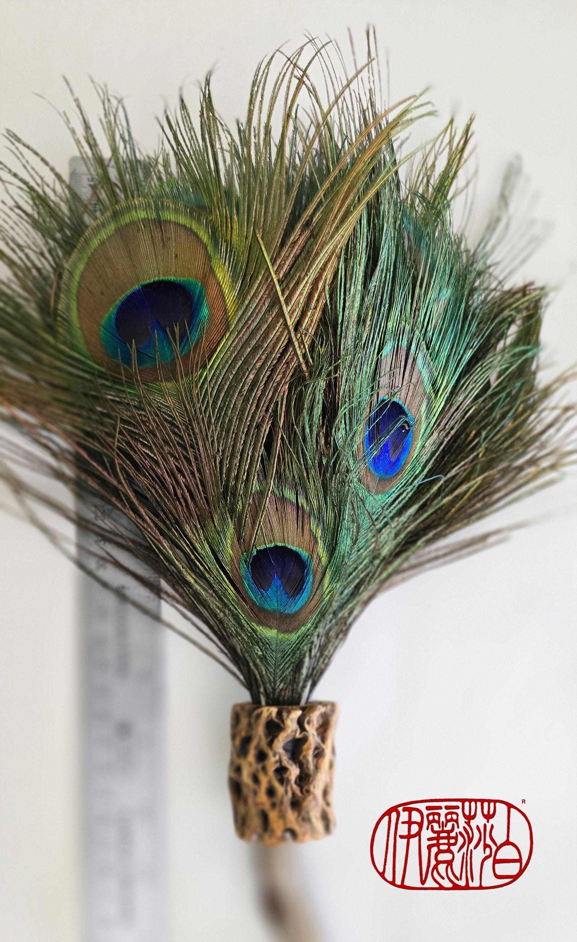 Peacock Feather Painter's Brush with Driftwood Handle Painter's Brush Elizabeth Schowachert Art