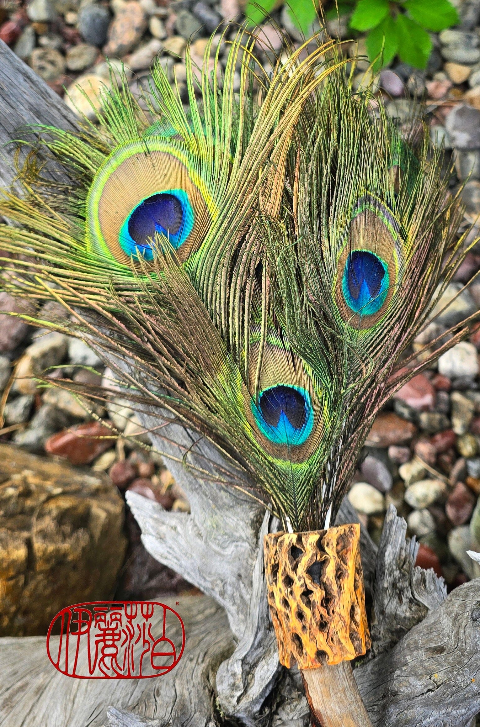 Peacock Feather Painter's Brush with Driftwood Handle Painter's Brush Elizabeth Schowachert Art