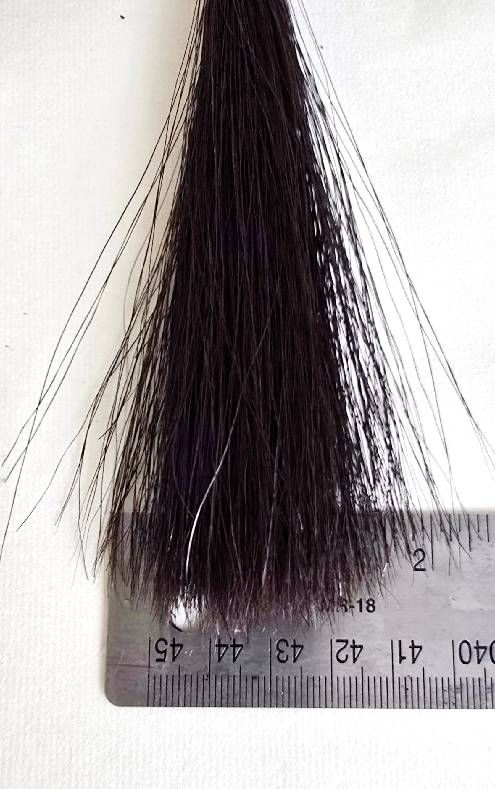 Premium Black Horsehair Brush – Burned Bamboo Handle Sumi-e Paint Brush Elizabeth Schowachert Art
