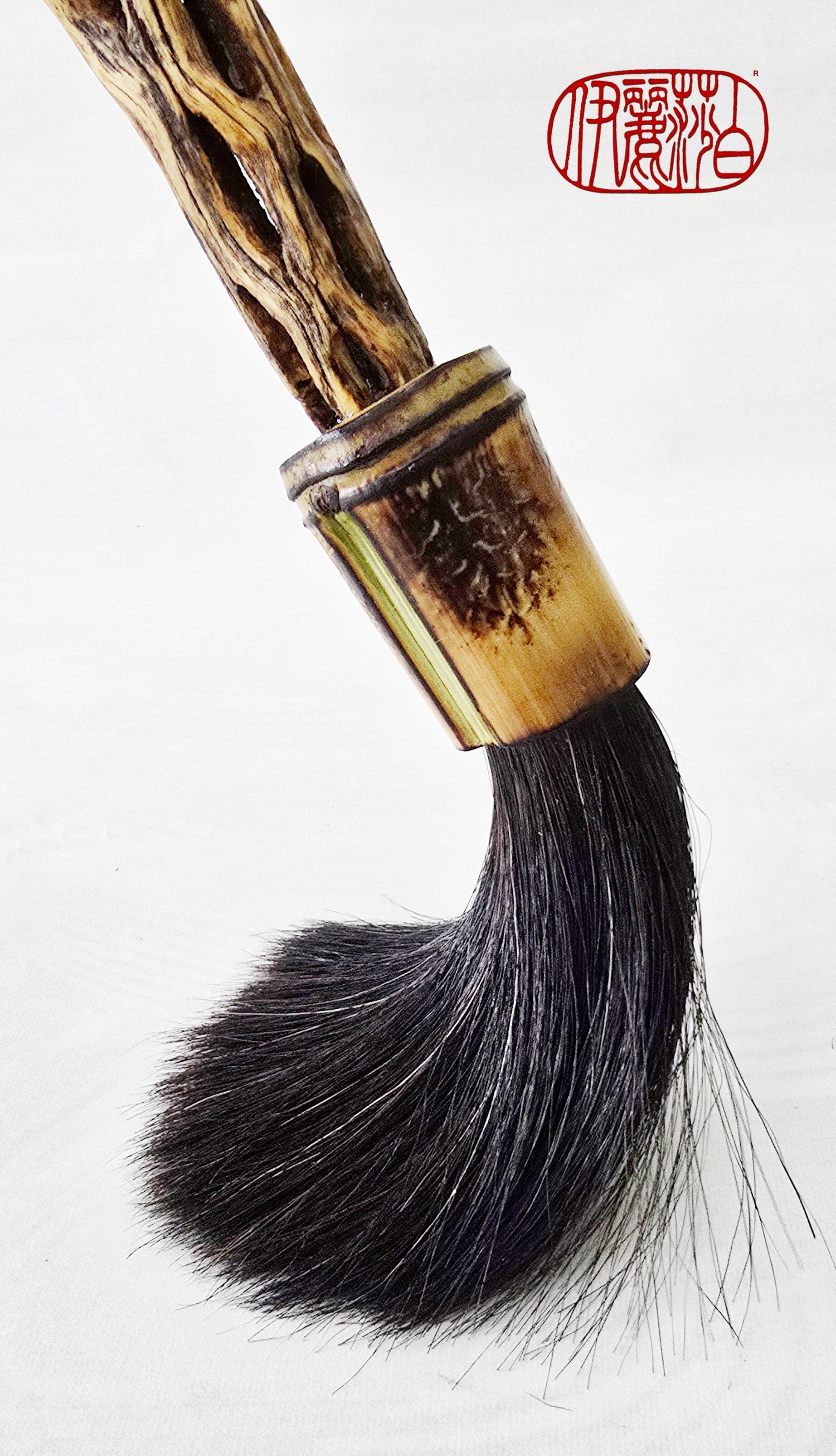 Premium Black Horsehair Paintbrush With Cholla Cactus Handle Paintbrush Elizabeth Schowachert Art