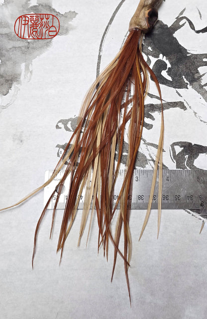 Premium Vintage Rooster Feather Brush with Driftwood Handle Paintbrushes Elizabeth Schowachert Art