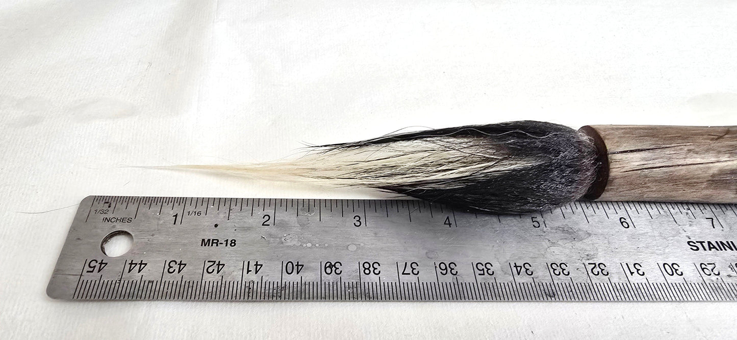 Skunk Bristle Brush – Birch Driftwood Handle Paintbrushes Elizabeth Schowachert Art