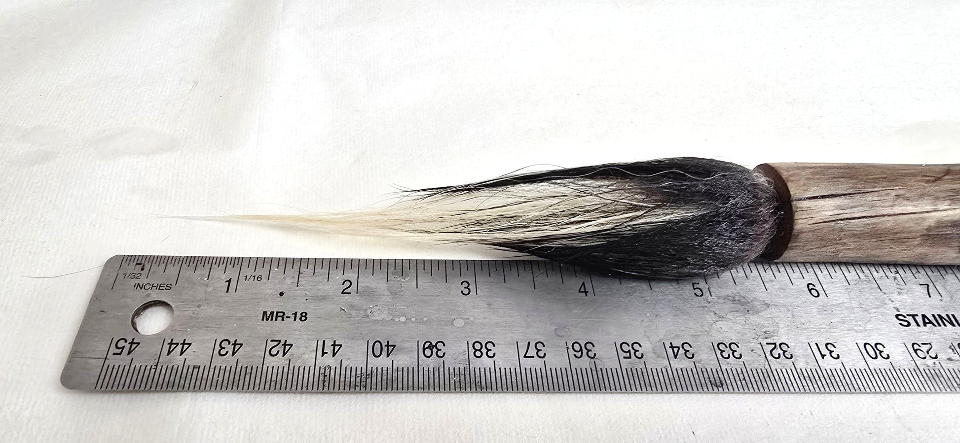 Skunk Bristle Brush – Birch Driftwood Handle Paintbrushes Elizabeth Schowachert Art