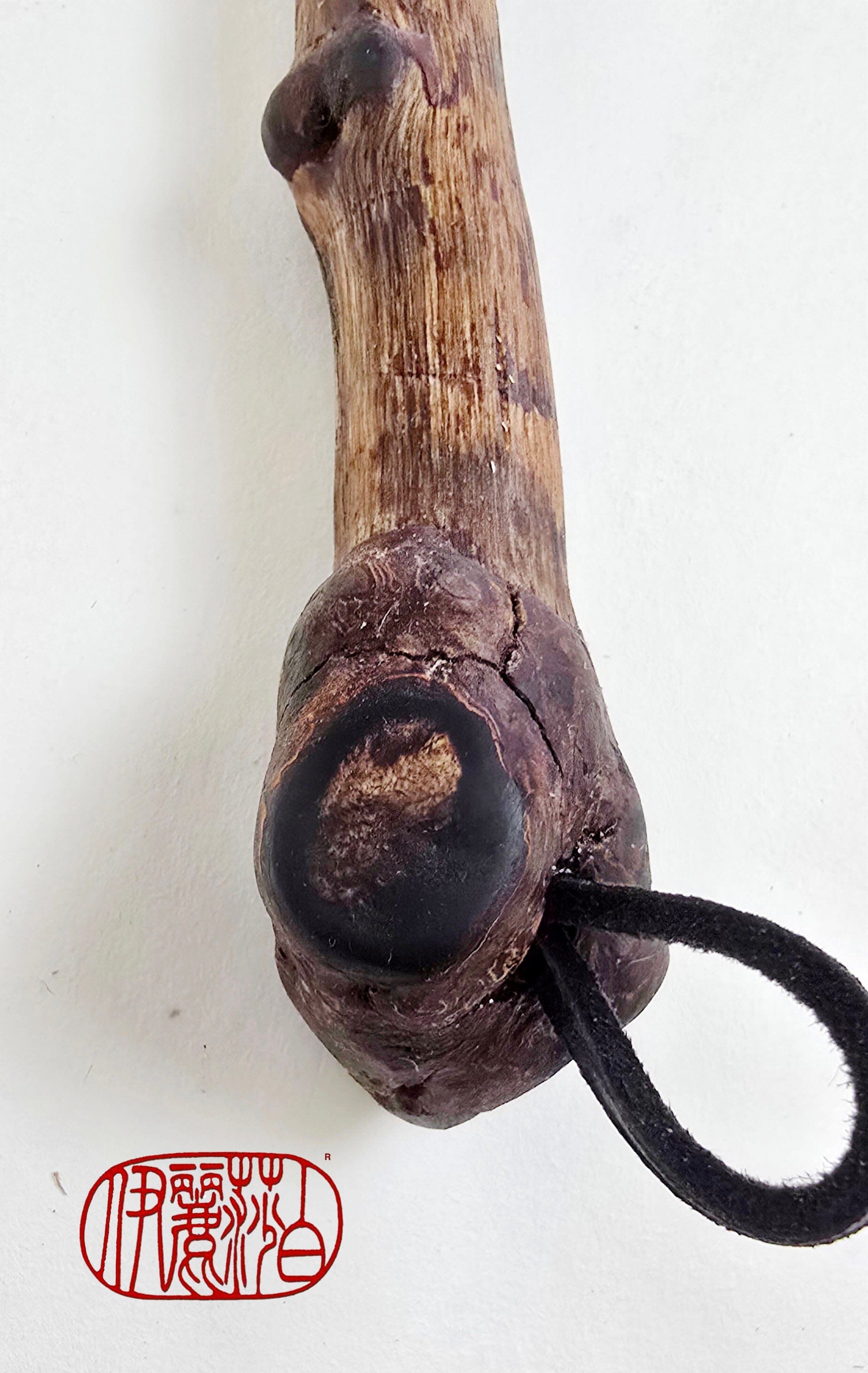 Skunk Bristle Brush with Driftwood Handle Paintbrushes Elizabeth Schowachert Art