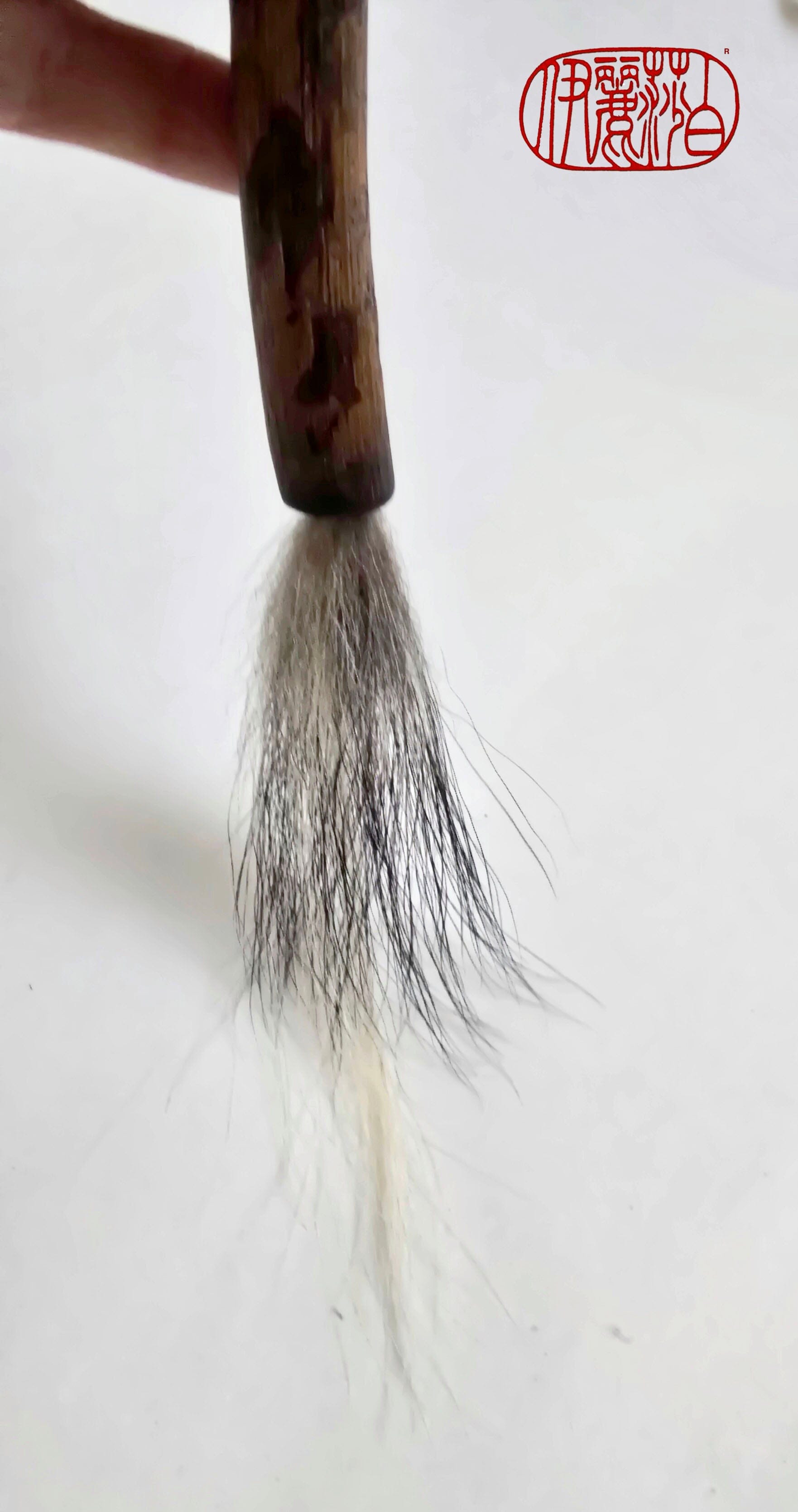 Skunk Bristle Brush with Driftwood Handle Paintbrushes Elizabeth Schowachert Art