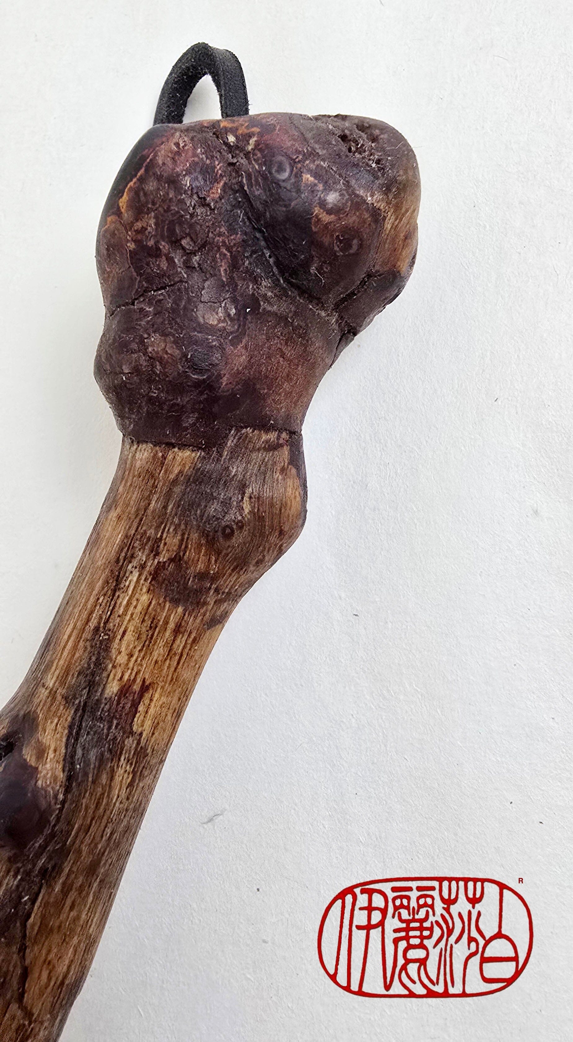 Skunk Bristle Brush with Driftwood Handle Paintbrushes Elizabeth Schowachert Art