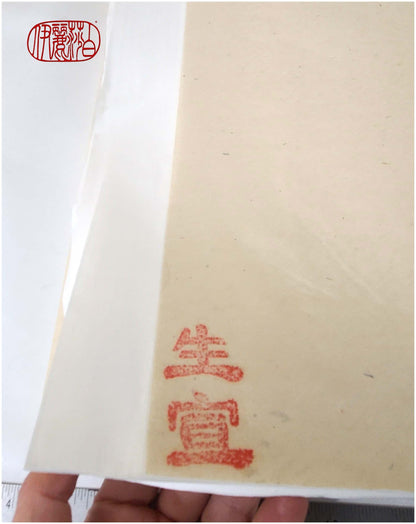 Chinese Raw Half Ripe Xuan Paper 100 Sheet Count Art Supplies Elizabeth Schowachert Art