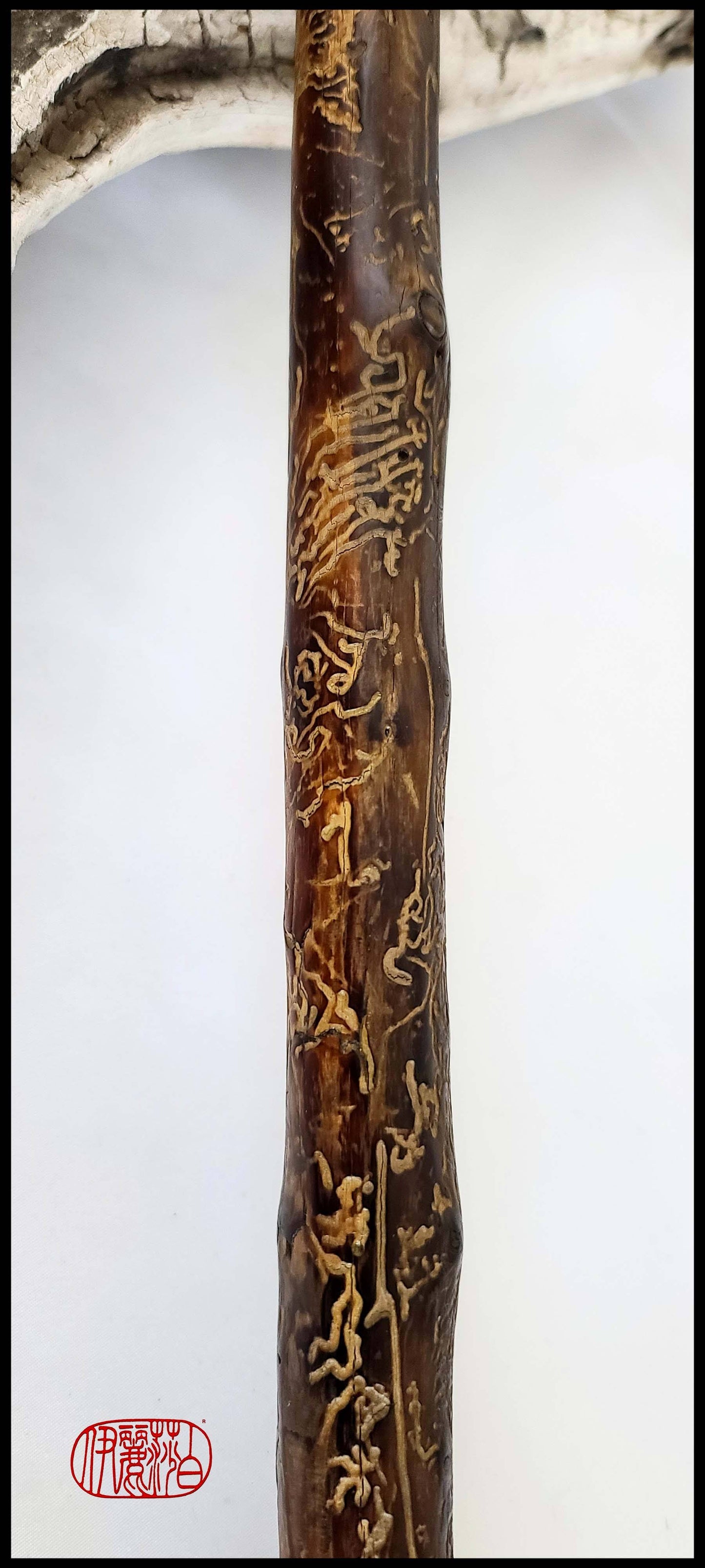 Coarse Auburn Horsehair Sumi-e Paint Brush With Ceramic Ferrule SC1 Art Supplies Elizabeth Schowachert Art