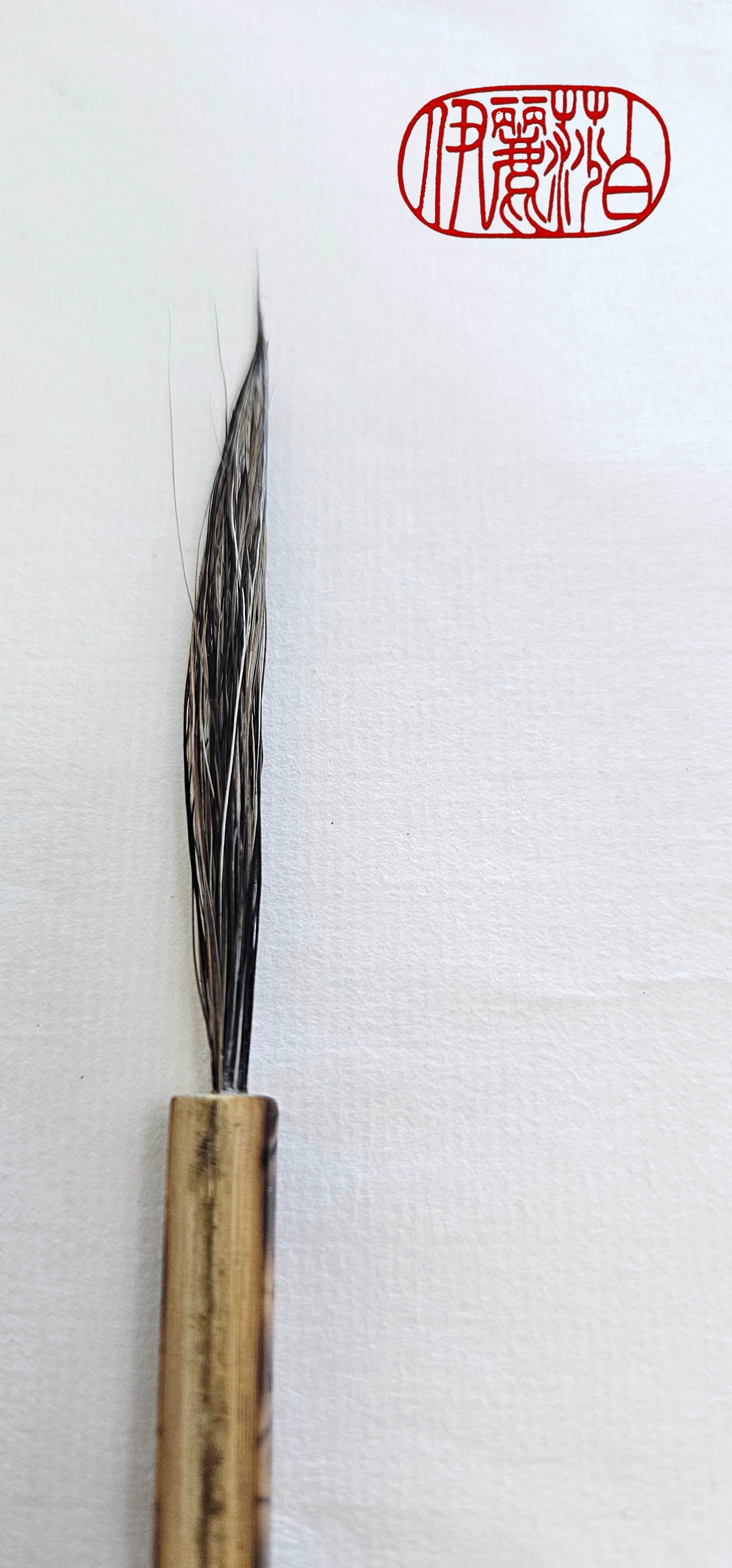 Fine Point Paint Brush With 3 Long Pointed Bristle
