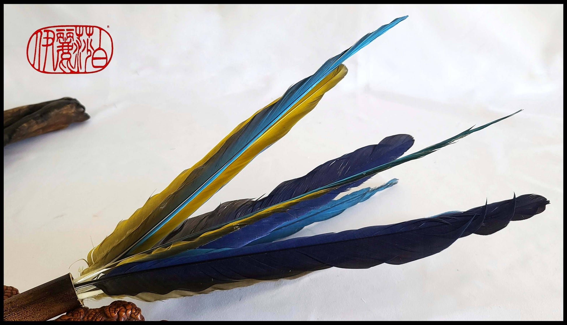 Large Parrot Feather Sumi-e Paintbrush Art Supplies Elizabeth Schowachert Art