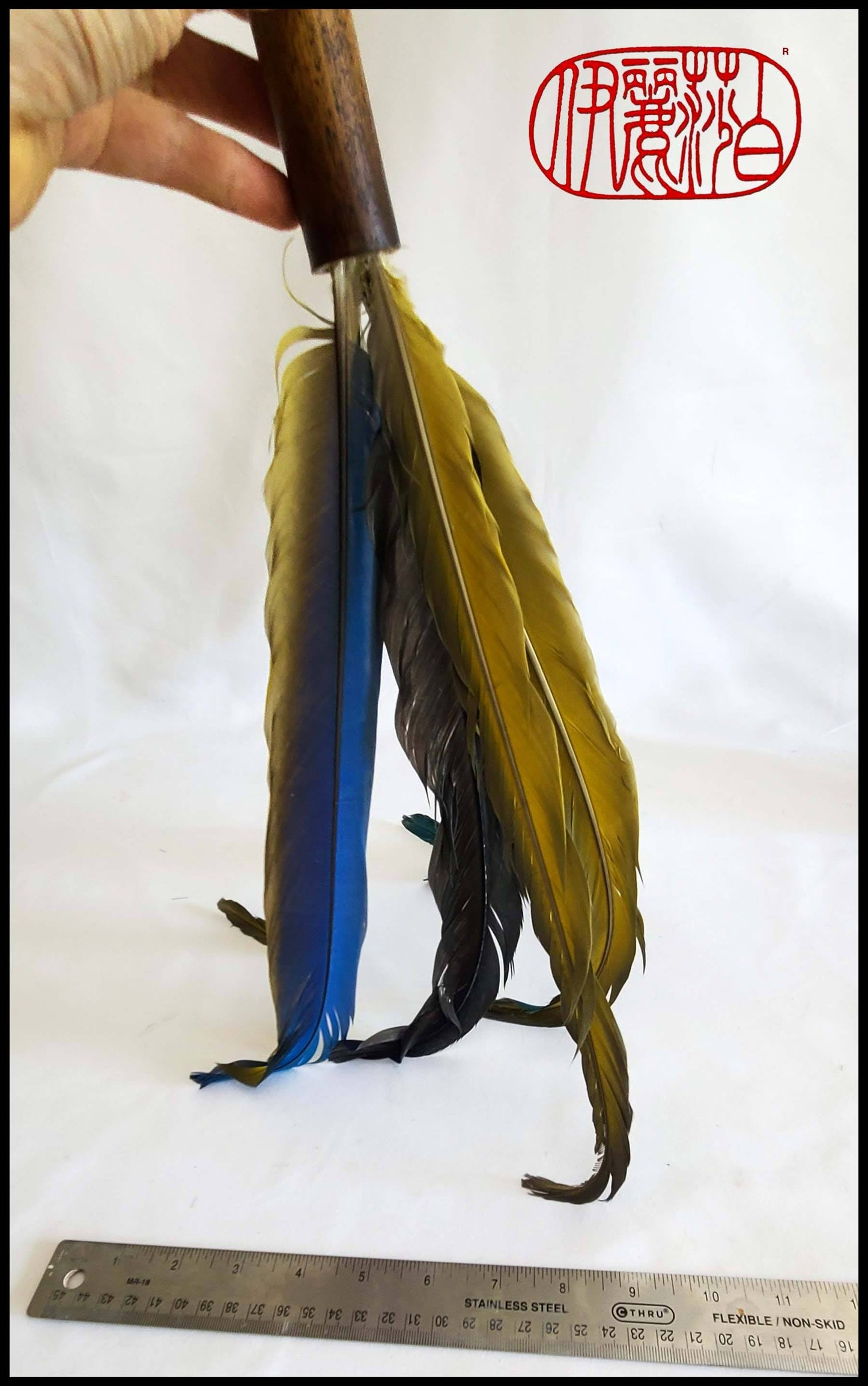 Large Parrot Feather Sumi-e Paintbrush Art Supplies Elizabeth Schowachert Art