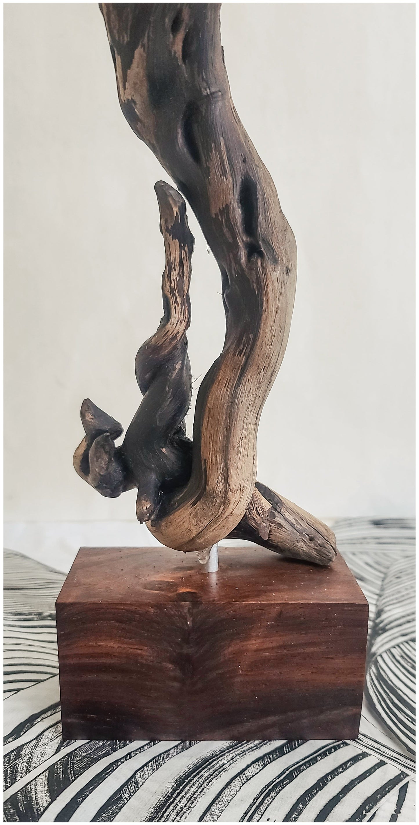 Natural Driftwood Sculpture on Cocobolo Wood Stand Elizabeth Schowachert Art