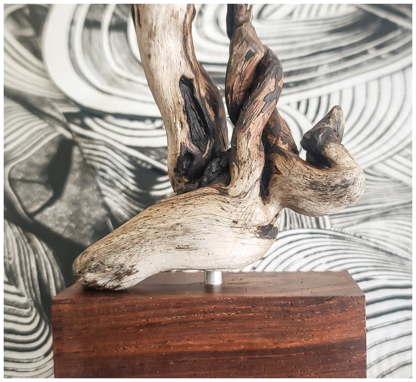 Natural Driftwood Sculpture on Cocobolo Wood Stand Elizabeth Schowachert Art