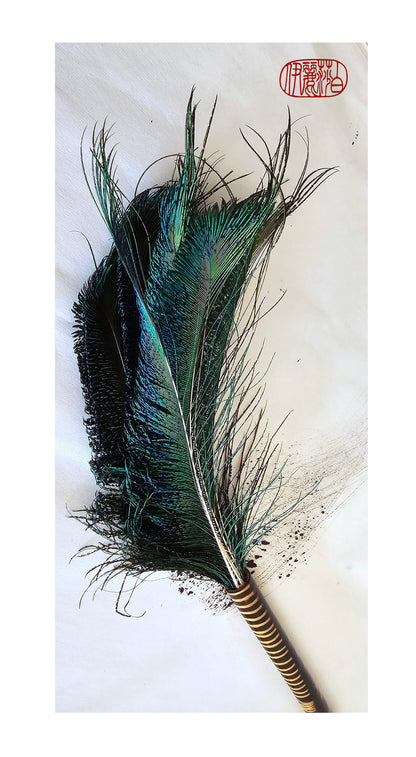 Peacock Feather Paint Brushes Paintbrush Elizabeth Schowachert Art