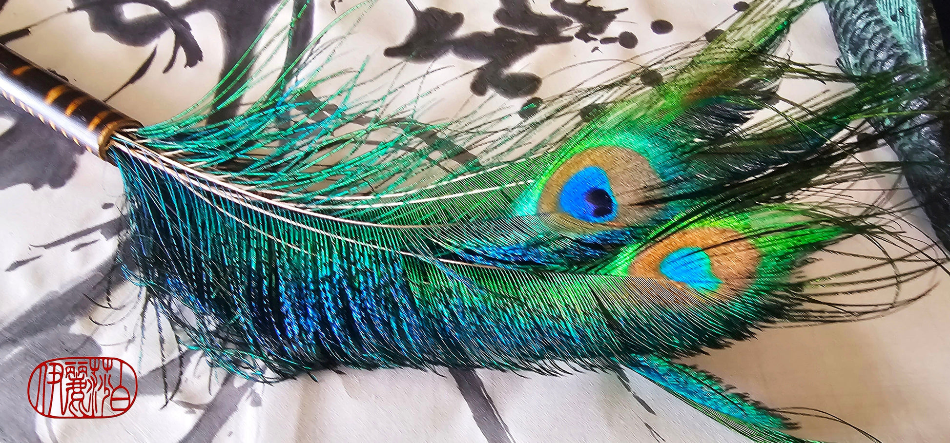 Paint a Peacock Feather